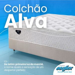 Ecoflex associado ABIH-SC