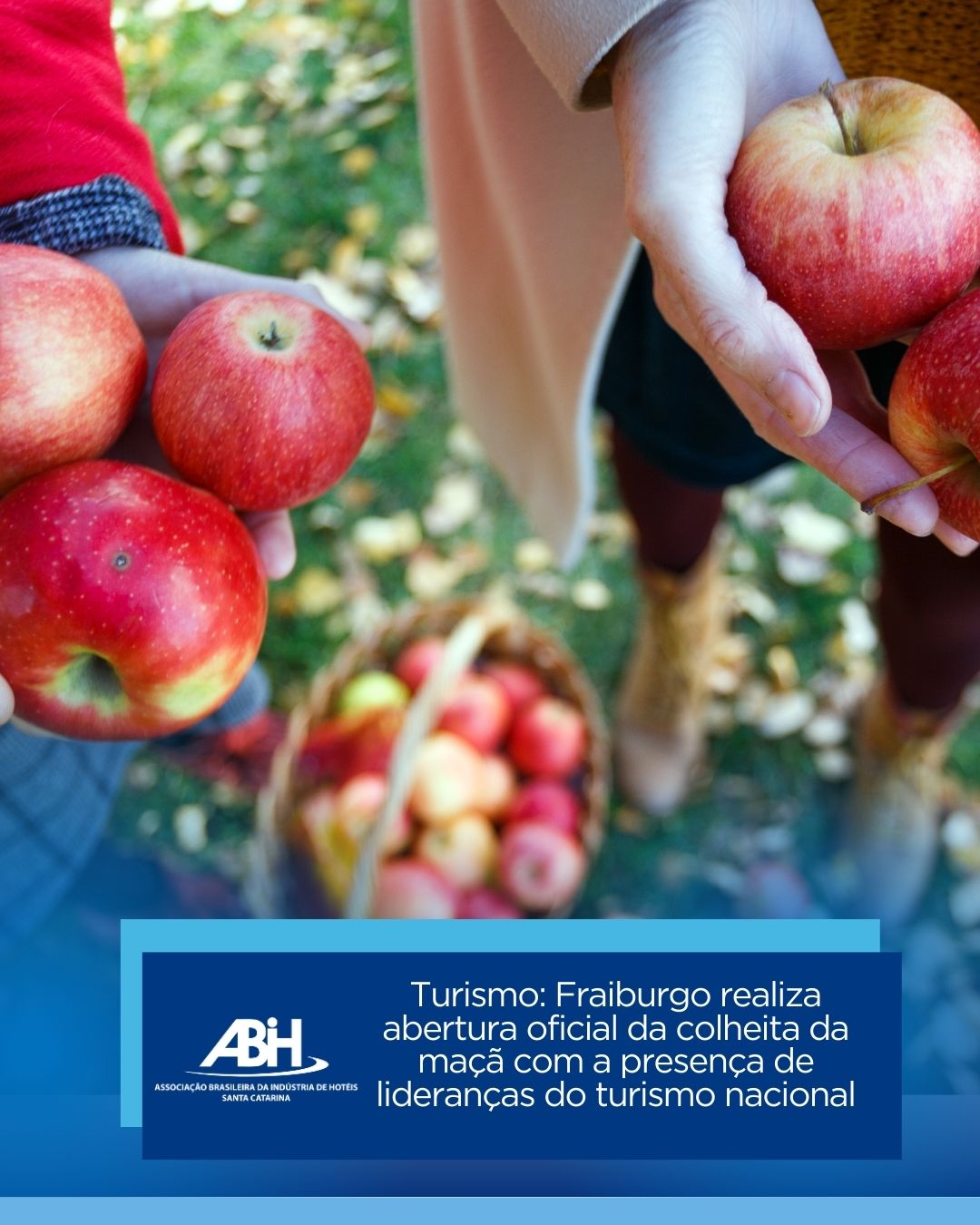 Turismo Fraiburgo realiza abertura oficial da colheita da maçã com a presença de lideranças do turismo nacional Turismo Fraiburgo realiza abertura oficial da colheita da maçã com a presença de lideranças do turismo nacional
