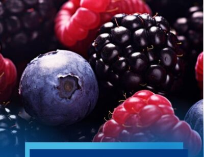 Serra Catarinense transforma pequenas propriedades em polos de renda e turismo