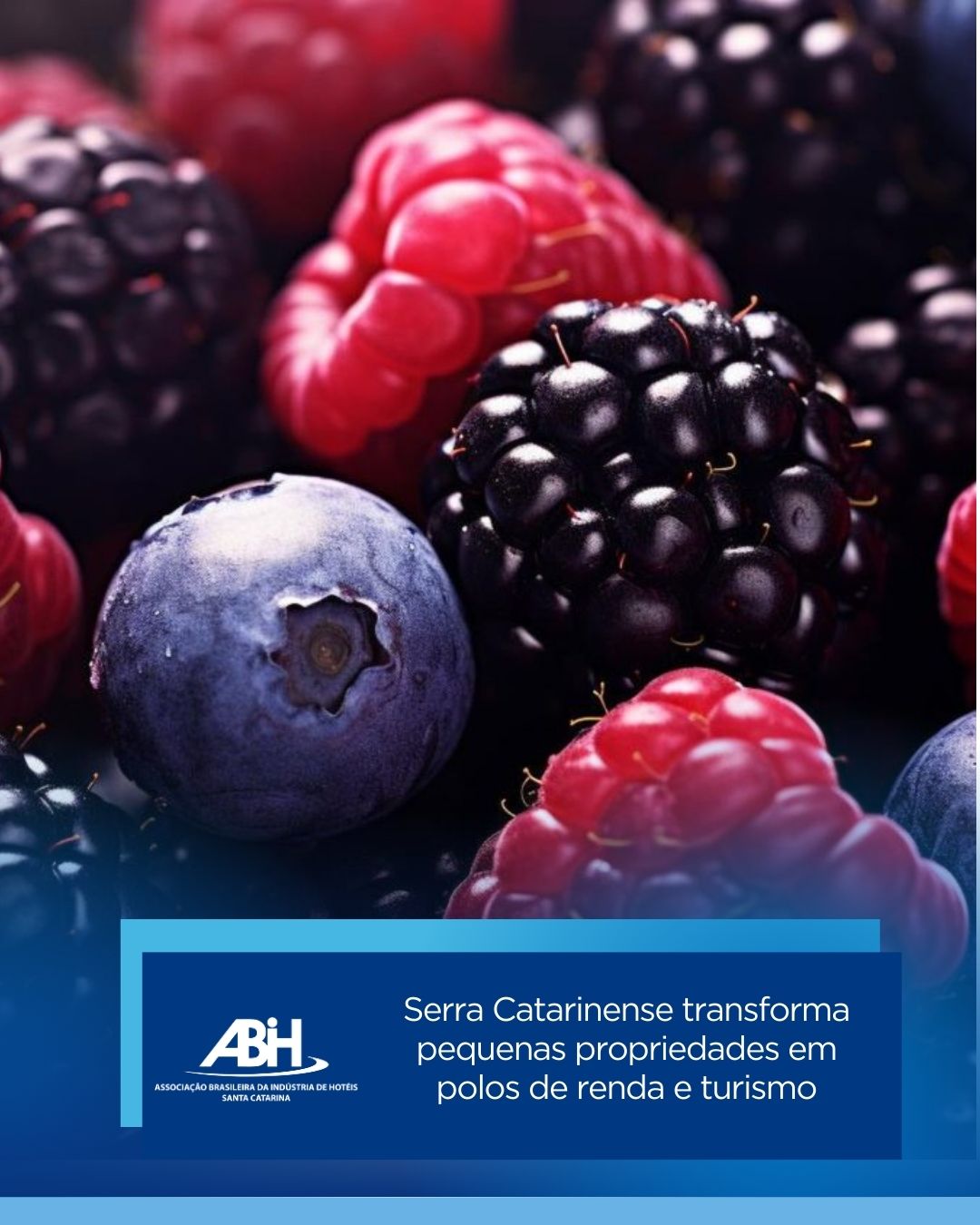 Serra Catarinense transforma pequenas propriedades em polos de renda e turismo Serra Catarinense transforma pequenas propriedades em polos de renda e turismo