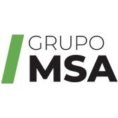 grupo msa