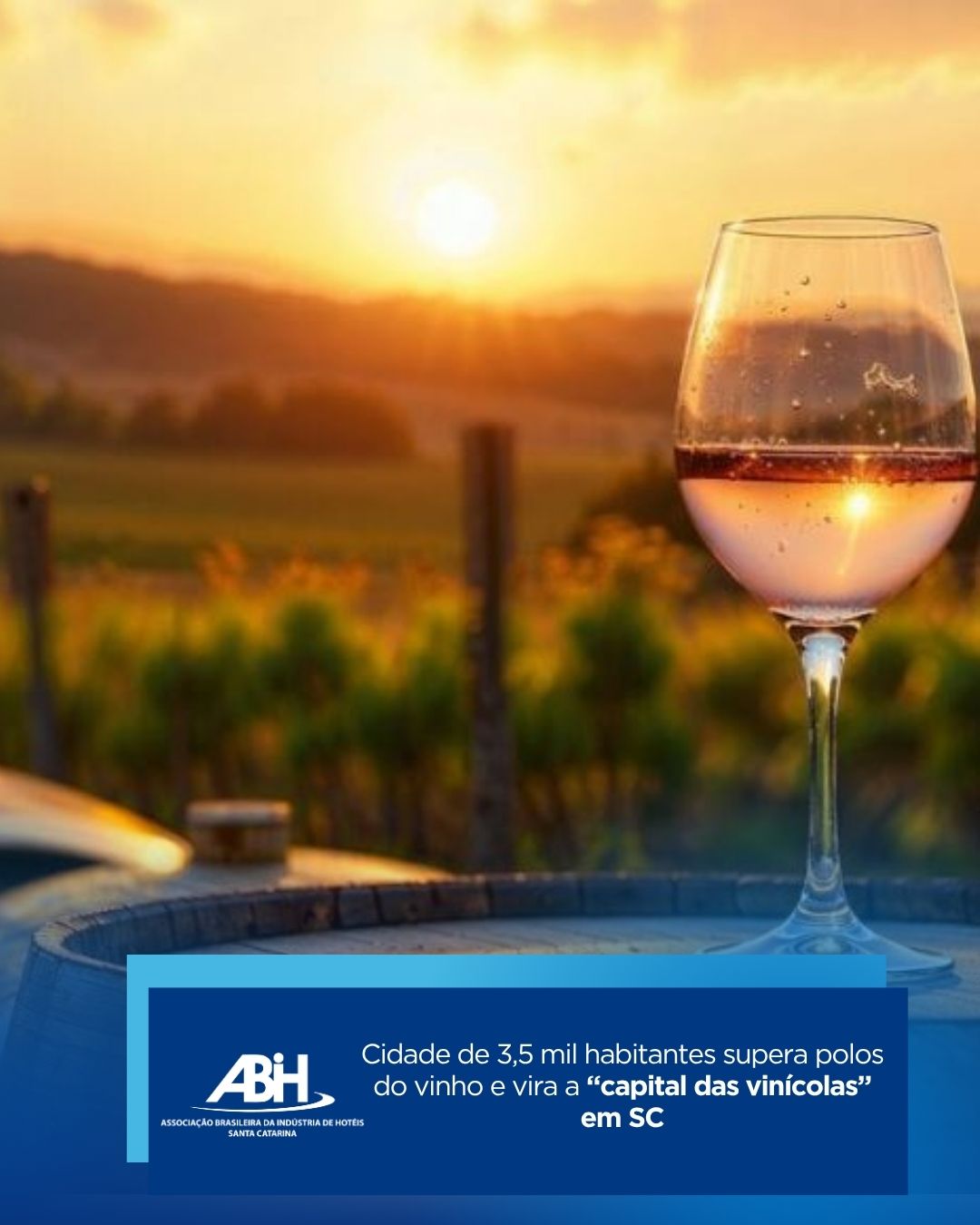 Cidade de 3,5 mil habitantes supera polos do vinho e vira a “capital das vinícolas” em SC