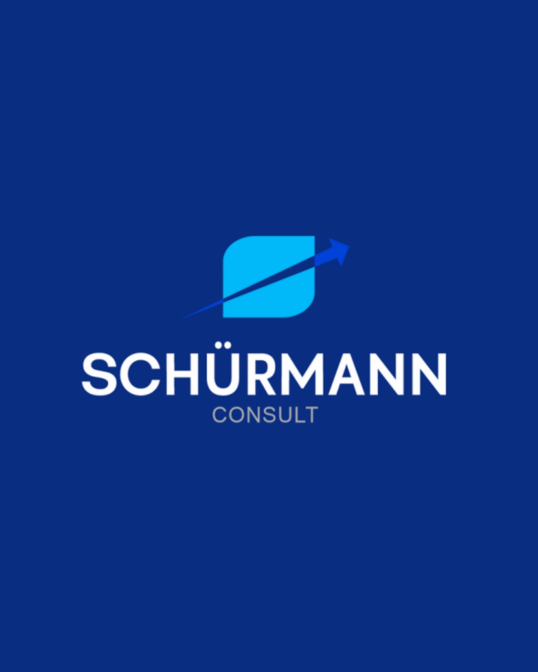 Schurmann consult