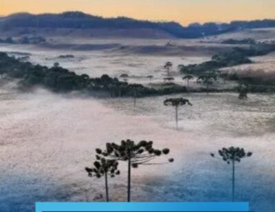 Geada transforma as manhãs de inverno na Serra Catarinense