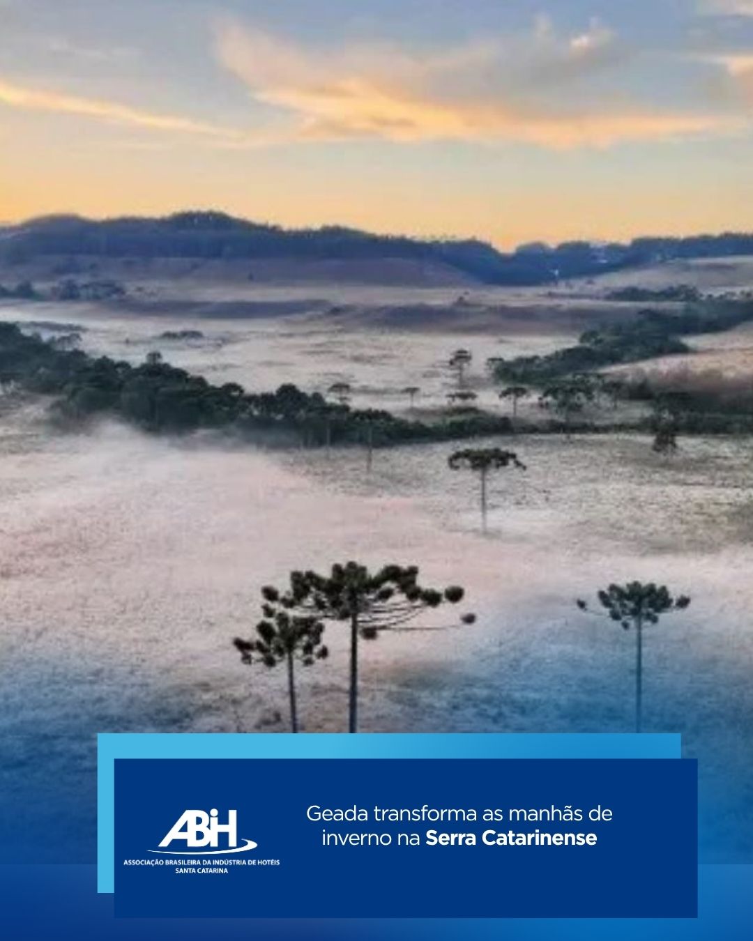 Geada transforma as manhãs de inverno na Serra Catarinense Geada transforma as manhãs de inverno na Serra Catarinense