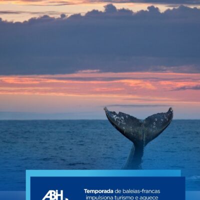 Temporada de baleias-francas impulsiona turismo e aquece economia no litoral de SC