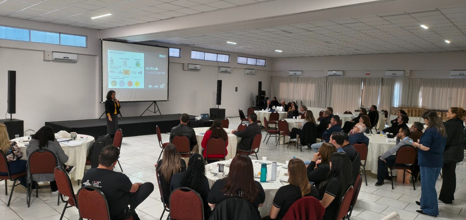 Bianca antonini apresenta o projeto Soul Sul do SEBRAE-SC com a ABIH-SC no café de hotel em fraiburgo
